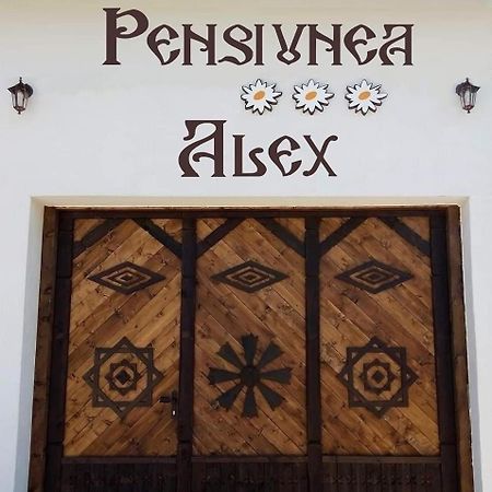 Pensiunea Alex Marga Luaran gambar